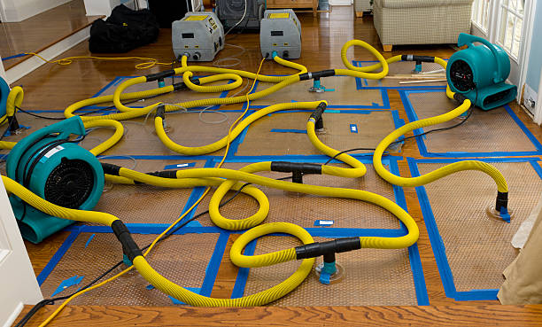 Professional Basement Flood Cleanup technician working in Lake City, PA